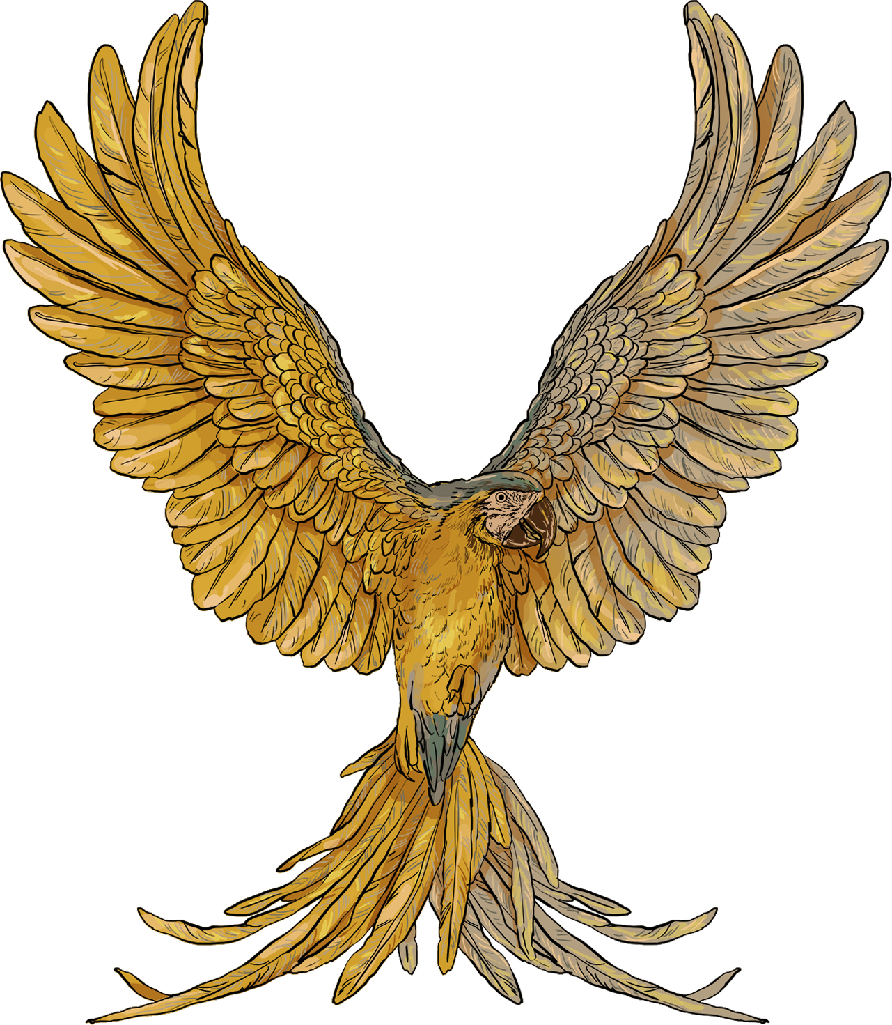 Главная