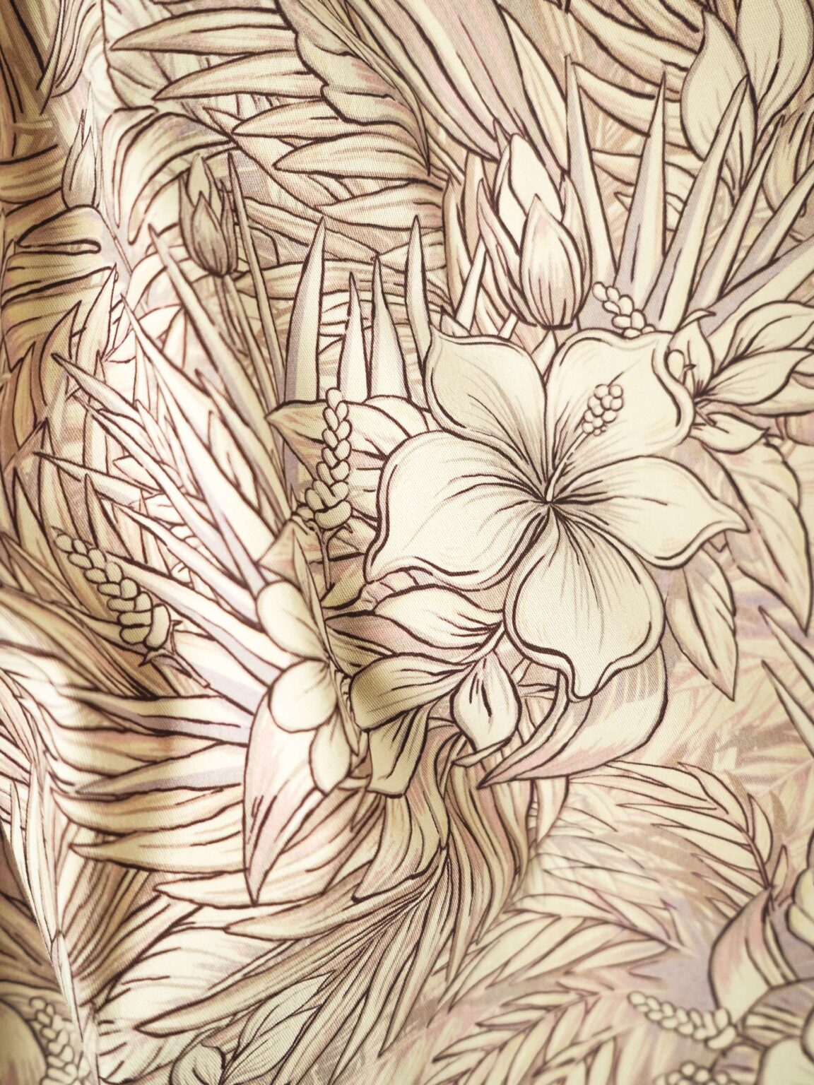 pacific-light-bruki-new-12