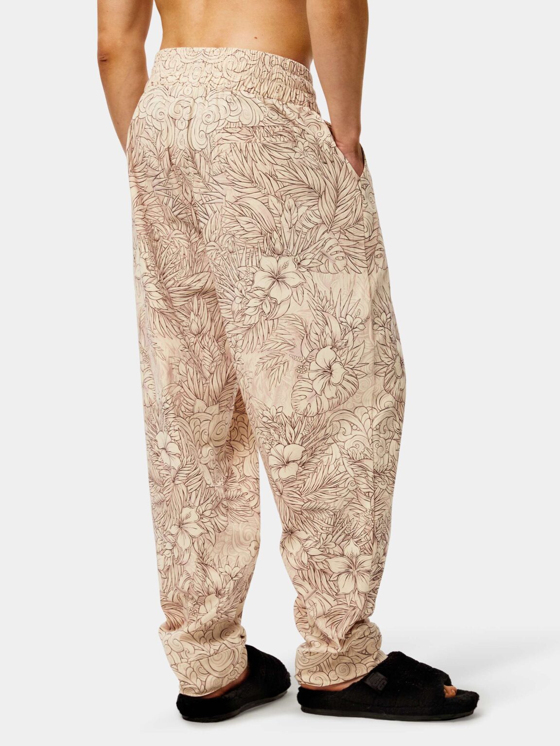 pacific-light-bruki-new-2